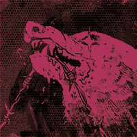 My Sixth Image