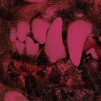 My Sixth Image