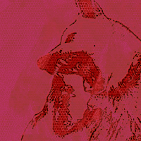My Second Image