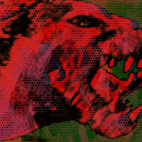My Fifth Image