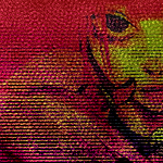 My Sixth Image
