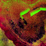 My Sixth Image